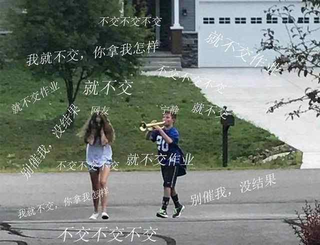 宁静 不想交作业上热搜，究竟发生了什么