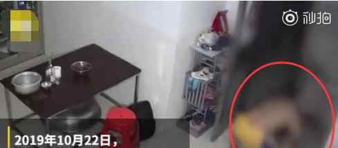 潮州警方通报男子家暴视频 警方通报说了什么内容