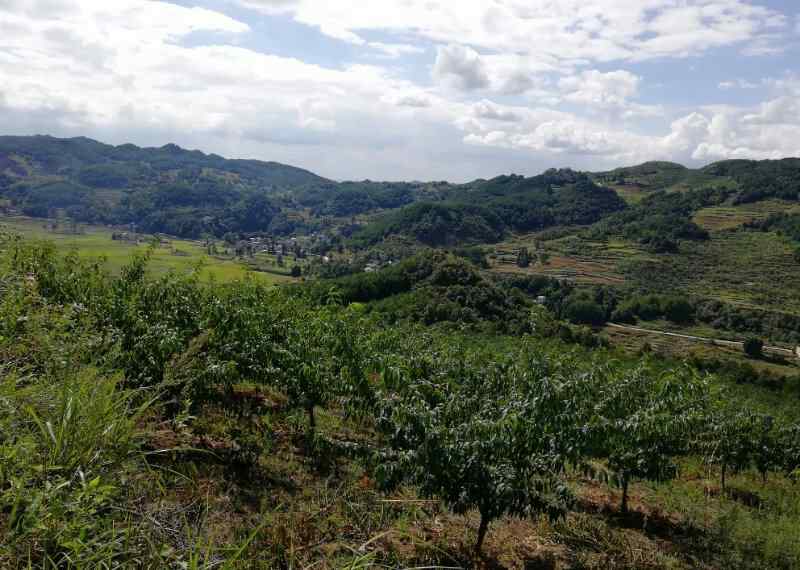 龙家营 贵州余庆县龙家营的故事