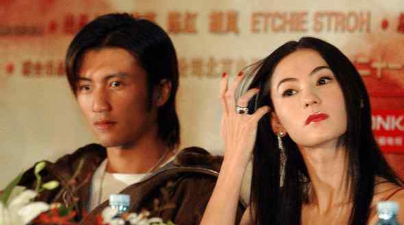 张柏芝和谢霆锋复婚 谢霆锋将10亿留给儿子，即将与张柏芝复婚？王菲竹篮打水一场空