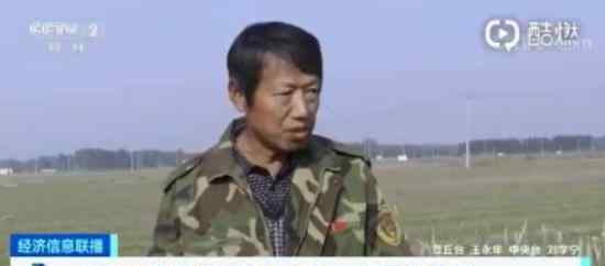 山东大葱价格腰斩 腰斩是什么情况一亩亏1000多元