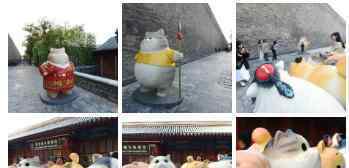 神武门现巨型御猫 巨型御猫长什么样文章配图