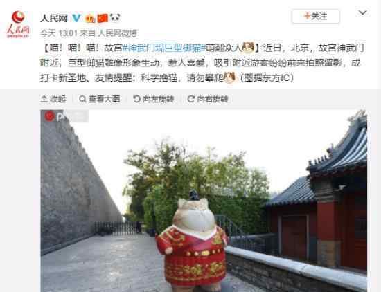 故宫现巨型御猫吸引游客?故宫巨型御猫是怎样的?