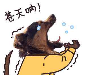 卢云堡 68元卢云堡任饮！炸鸡免费送！三角仅此一家！这间音乐会馆绝逼是约会圣地！
