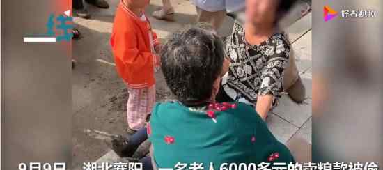 老人卖粮款被偷后绝望大哭 这小偷真够缺德的