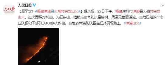 福建漳浦大埔村突发山火 现场情况如何