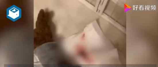 虐杀动物兜售视频成地下产业链 黑幕大揭秘