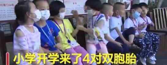 开学迎来4对双胞胎老师看晕 具体是什么情况