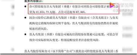 贵人鸟创始人林天福被限制消费 什么情况