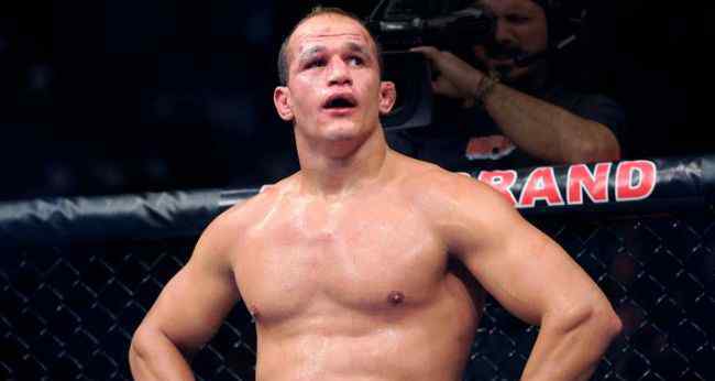 ufc和拳击哪个厉害 MMA十大热门拳击手 里科欧·范霍文位居第一