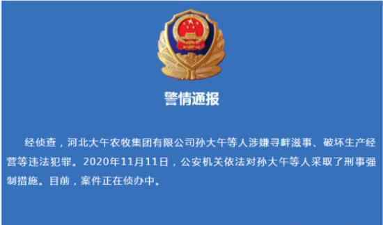 国内知名农民企业家孙大午被抓 原因是什么