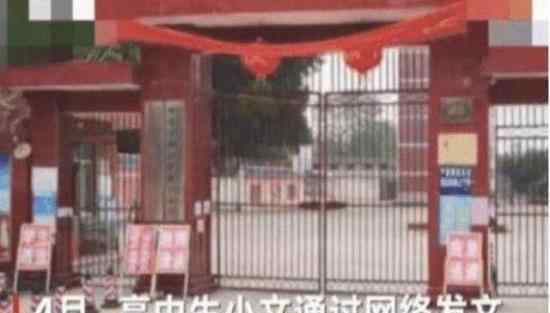 猪价跌回“原形” 具体怎么回事