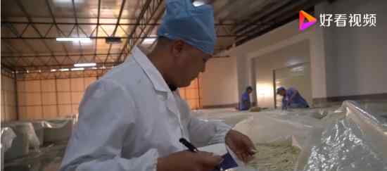 螺蛳粉闻臭师年薪50万 闻酸笋竟和闻像水一样