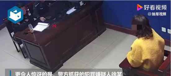 男子被女友骗590次 女方是堂弟媳 这是怎么回事