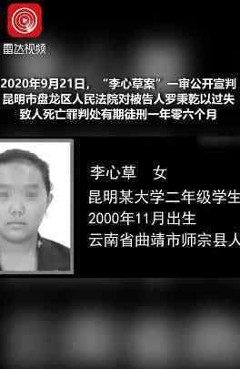 李心草溺亡案16名民警被问责处理 什么情况
