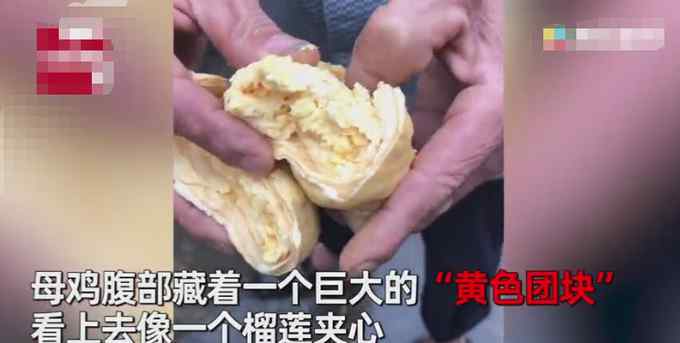 越南一男子抓来饲养2年老母鸡招待亲戚 宰杀后腹中一物惊呆众人！