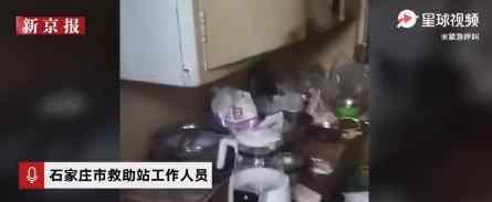 妇联启动坠楼女婴救助程序 现在什么情况