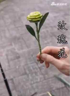 七旬老人用棕叶编出花鸟鱼虫 又是一门让人惊叹的手艺