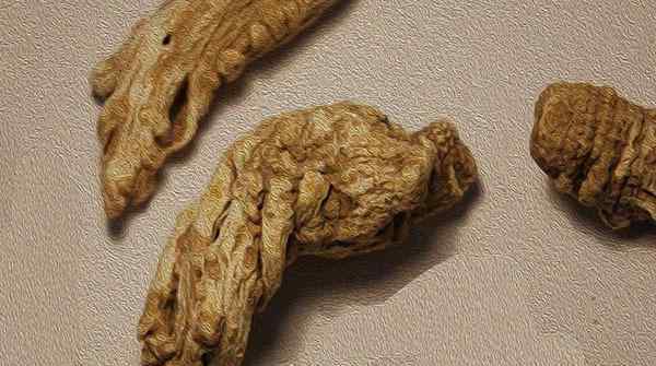对子宫好的食物有哪些 女性生理期吃什么对子宫好？这些“暖宫食物”要多吃点