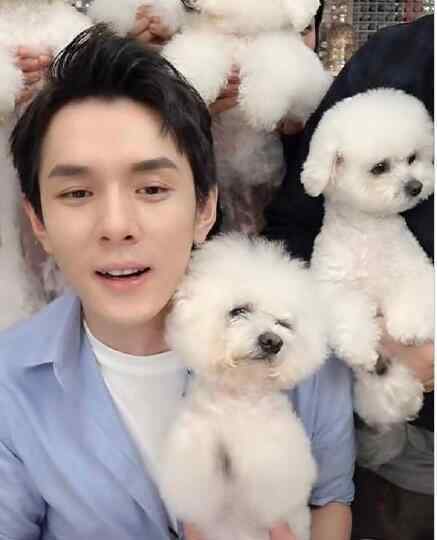 李佳琦工作室声明 向广大消费者道歉 具体情况