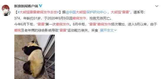 大熊猫雷雷癫痫发作去世 究竟什么情况