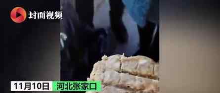 幼儿园食堂现发臭肉馅 具体什么情况