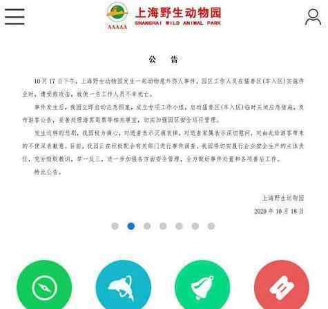野生动物园熊伤人现场疑曝光 是真的吗园方回应