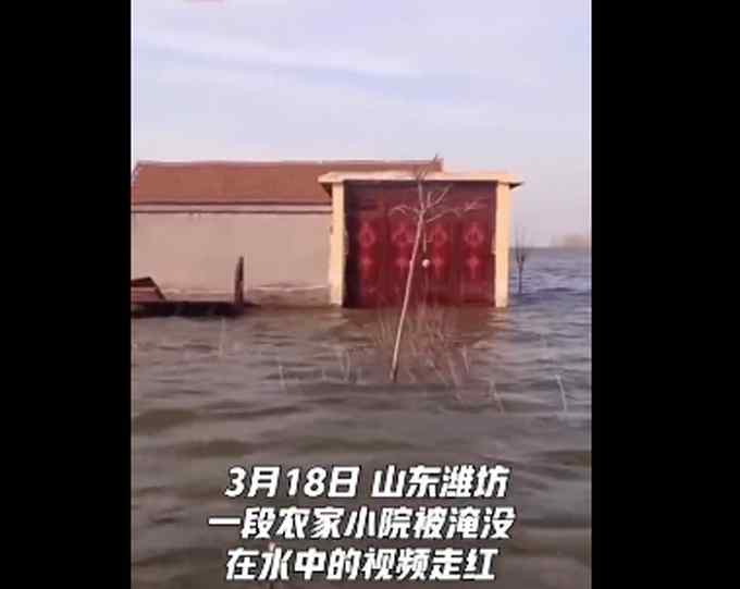 山东一农家小院从去年被水淹到现在 现场一幕令人难以置信