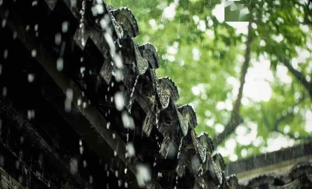 湿气重的人怎么调理 湿气重的人，身上这2个部位会“变大”，发现后要及时调理
