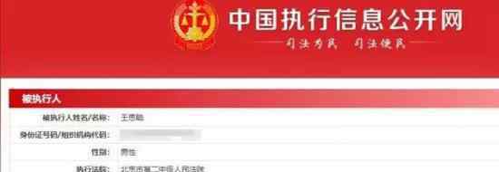 王思聪成被执行人是什么意思对王思聪有什么影响