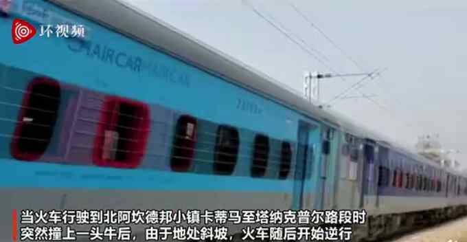 印度一火车逆行35公里！起因竟是因为一头牛？