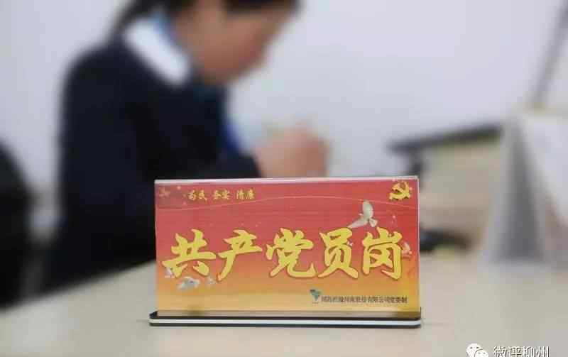 什么的荷塘 【航拍】在空中看柳江的万亩荷塘是什么样子？