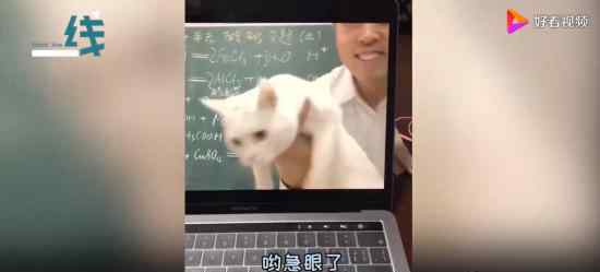 这些火遍全网的老师你pick谁 老师们的名场面