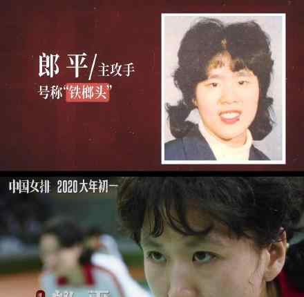 老女排集体亮相 是怎样的具体情况是什么