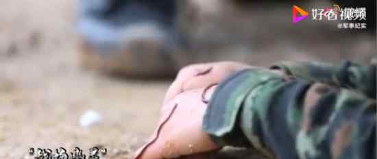 特战女兵身上爬满虫子竟纹丝不动 什么场面