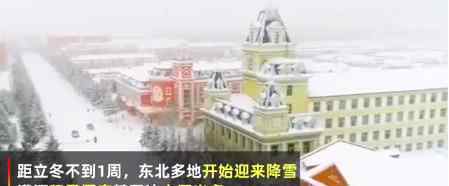 东北雪场首次迎来大批三亚游客 具体什么情况