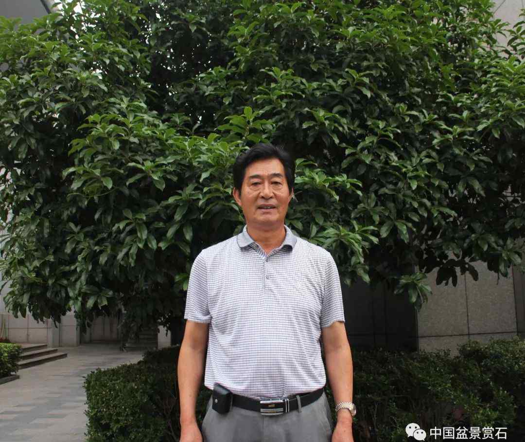 赤楠风水说法 星光闪耀|走进中盆协副会长魏积泉的盆景世界文章配图
