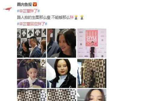 辛芷蕾回应胖了 这是个什么瓜