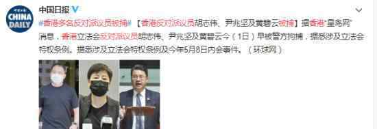 香港多名反对派议员被捕 具体什么情况