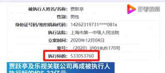 贾跃亭再成被执行人 原因是什么具体什么情况