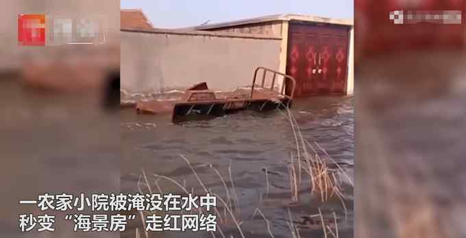 山东一农家小院被淹数月 成了海景房 网友却提出灵魂一问