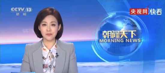 央视:孟晚舟没有落入美方圈套 孟晚舟引渡案再次开庭