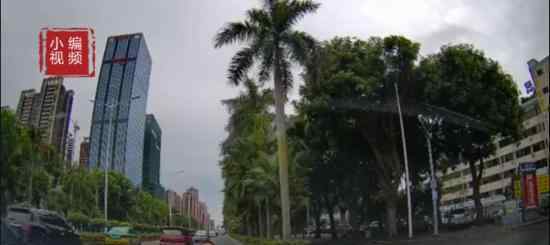 男子坐着轮椅在马路上碰瓷 伸手的样子很理直气壮