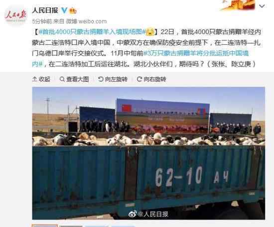 首批4000只蒙古捐赠羊入境现场图 围观一下