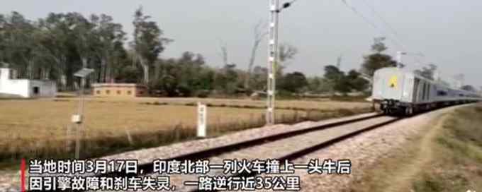 印度一火车逆行35公里！起因竟是因为一头牛？