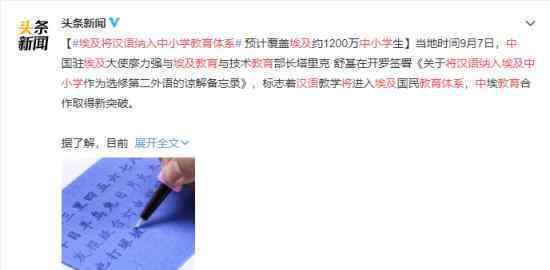 埃及将汉语纳入中小学教育体系 加快中国文化在埃及传播