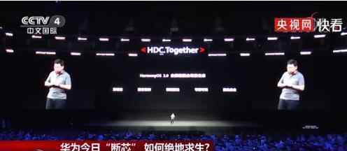 华为断芯如何绝地求生华为是否能度过难关