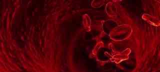 malaria 7 千年来，它帮人类抵抗疟疾，也每年「害」了 30 万人