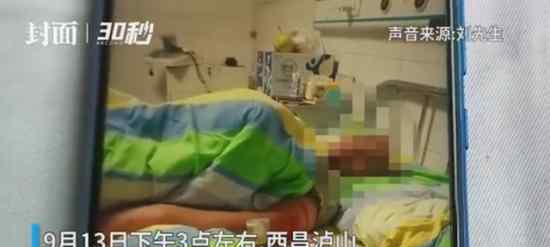 男子见义勇为被猴群报复 具体是什么情况