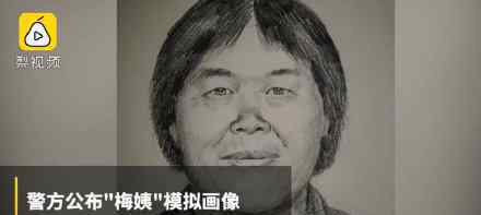 神秘人贩子梅姨案最新进展 梅姨一共拐走了几名儿童